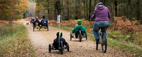 Wheelchair Bikes in the New Forest